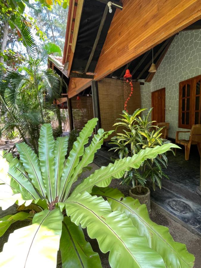 New Roy Guest House Калкуда Екстериор снимка